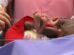 Over 99% of births, deaths registered in 2024: report