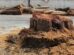 Drunken brawl leads to chopping down of two fully grown trees in Hyderabad
