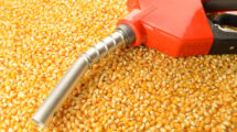 Grain-based ethanol accounts for nearly 67% of supplies; maize remains the largest feedstock