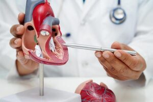 Non-communicable diseases accounted for 60% of all deaths in 2022-2024 | Data