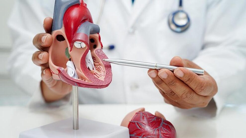 Non-communicable diseases accounted for 60% of all deaths in 2022-2024 | Data