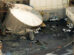 Eleven confirmed dead in Washington state chemical accident, all bodies recovered