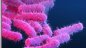 One more shigella death, seven fresh cases reported in Kerala
