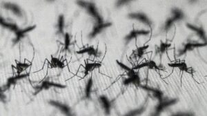 Brazil suspends dengue vaccine following two deaths