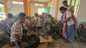 Roadside vendors turned exporters: Meghalaya’s ‘numbered’ farmers reap fruits of labour