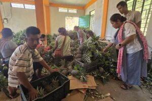 Roadside vendors turned exporters: Meghalaya’s ‘numbered’ farmers reap fruits of labour