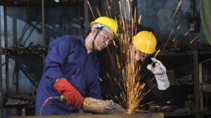 Australia’s curbs put focus on vocational education pathways abroad