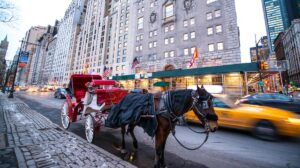 Indian teenager dies in horse carriage accident during his first trip to New York