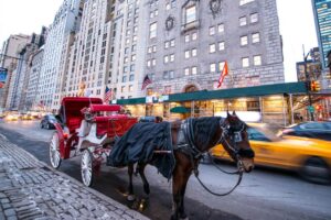 Indian teenager dies in horse carriage accident during his first trip to New York