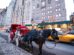 Indian teenager dies in horse carriage accident during his first trip to New York