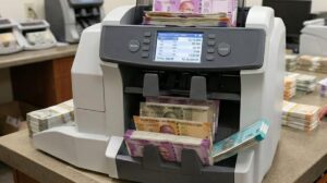 Bureau of Indian Standards steps in to check the march of fake currencies